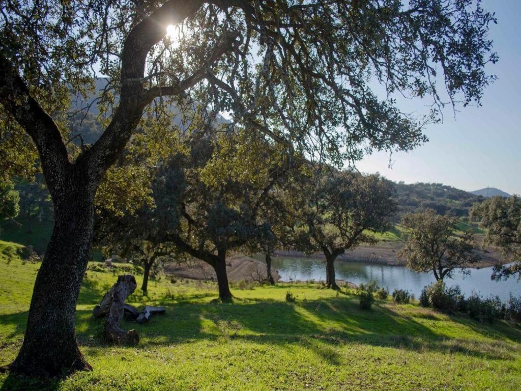 Finca La Vicaria Palomar Zufre Bagian luar foto